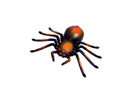 WILDROID - Tarantule R/C, krabice