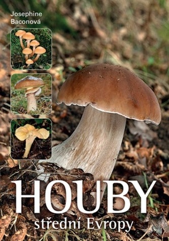 Houby střední Evropy