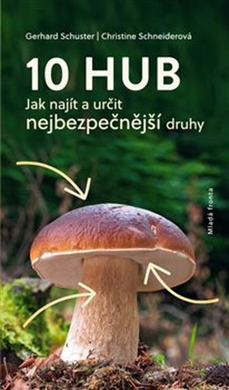 10 hub - Jak najít a určit nejčastější druhy 10 hub - Jak najít a určit nejčastější druhy