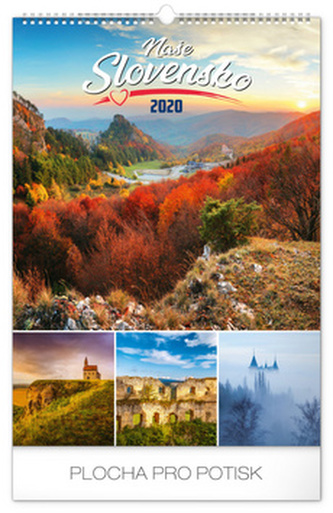 Naše Slovensko 2020