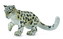 COLLECTA Leopard
