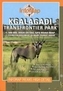 KGALAGADI TRANSFRONTIER PARK GPS RV INFO