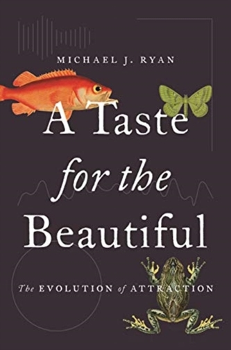 A Taste for the Beautiful