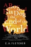 A Boy and his Dog at the End of the World