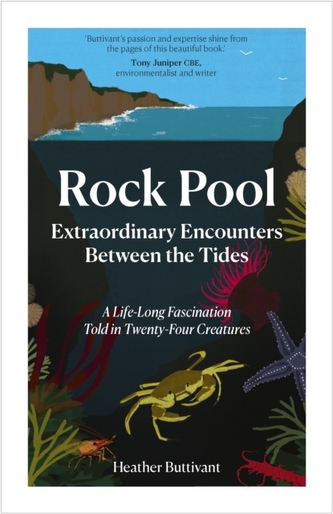 Rock Pool: Extraordinary Encounters Between the Tides