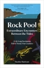 Rock Pool: Extraordinary Encounters Between the Tides