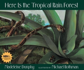 Here Is the Tropical Rain Forest