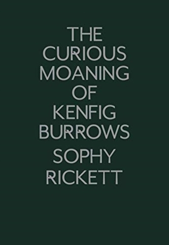 The Curious Moaning of Kenfig Burrows