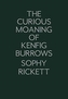 The Curious Moaning of Kenfig Burrows