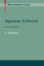Algebraic K-Theory