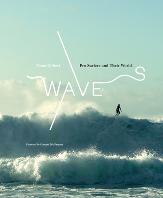 Waves:Pro Surfers and Their World