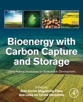 Bioenergy with Carbon Capture and Storage