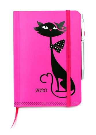 Diář 2020 smart: Kočka
