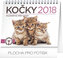 Kalendář stolní 2018 - Kočky – se jmény koček, 16,5 x 13 cm