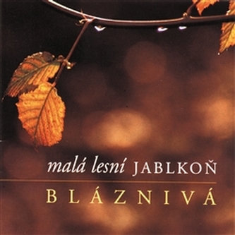 Bláznivá