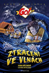 Obrázek knihy