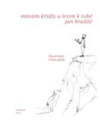 Mávám křídly a letím k tobě