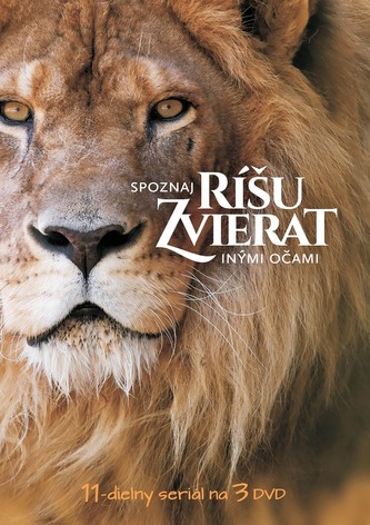 Spoznaj ríšu zvierat inými očami