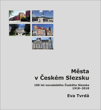 Města v Českém Slezsku