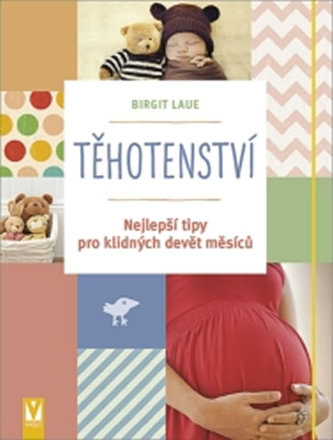 Těhotenství - Nejlepší tipy pro klidných devět měsíců Těhotenství - Nejlepší tipy pro klidných devět měsíců