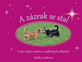 A zázrak se stal A zázrak se stal