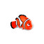 Nemo (Hledá se Nemo)