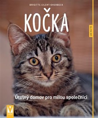 Kočka Kočka