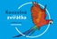Omalovánky - Kouzelná zvířátka MK CZ