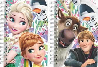 Blok 3D efekt Ledové království