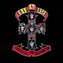 Appetite For Destruction