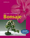 Bonsaje - Rady od profesionálů