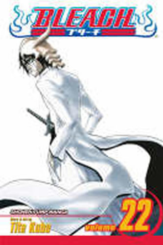Bleach 22