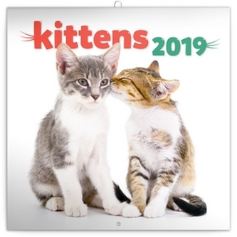 Poznámkový kalendář Koťata 2019