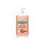 Sanytol Dezinfekční mýdlo do kuchyně Grapefruit & Limetka 250 ml unisex