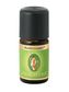 Primavera Éterický olej Borovice lesní Bio 5 ml unisex