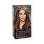 L´Oréal Paris Barva na vlasy Récital Préférence Barva na vlasy Récital Préférence - Odstín 6.35/A3 Havane woman
