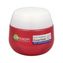 Garnier Noční krém pro vyhlazení pleti Lift Expert 45+ (Anti-Ageing Night Care) 50 ml woman