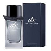 Burberry Mr. Burberry Indigo - EDT 150 ml man