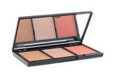 Makeup Revolution London Iconic Pro Tvářenka 11 g Flush pro ženy