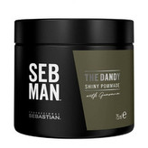 Sebastian Professional Pomáda na vlasy SEB MAN The Dandy (Shiny Pommade) 75 ml man