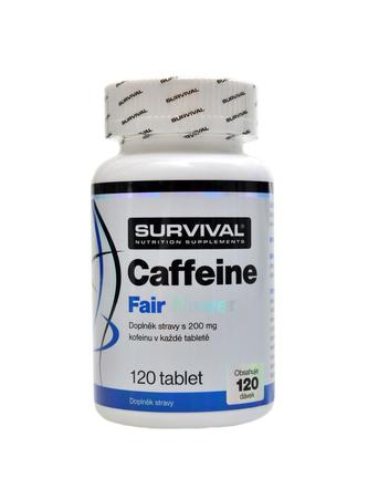 Caffeine fair power 120 tablet