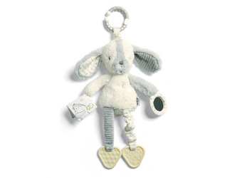 Štěně s aktivitami