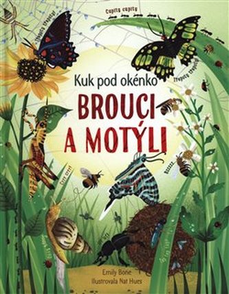 Brouci a motýli - kuk pod okénko