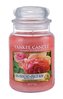 Yankee Candle Sun-Drenched Apricot Rose Vonná svíčka 623 g unisex