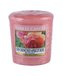 Yankee Candle Sun-Drenched Apricot Rose Vonná svíčka 49 g unisex