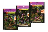 ArtLover Sada Škrabací obrázek - duhový 20,3 x 25,4 cm/mix 3 motivů