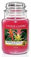 Yankee Candle 623g Tropical Jungle