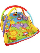 Hrací deka Baby Mix Zoo