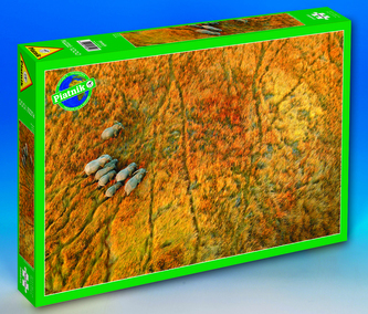 Puzzle 1000 d. Na cestě (sloni)