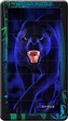 Puzzle 32 d. 3D Magnetické puzzle Panter